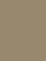 SK150 - Mocha Matt