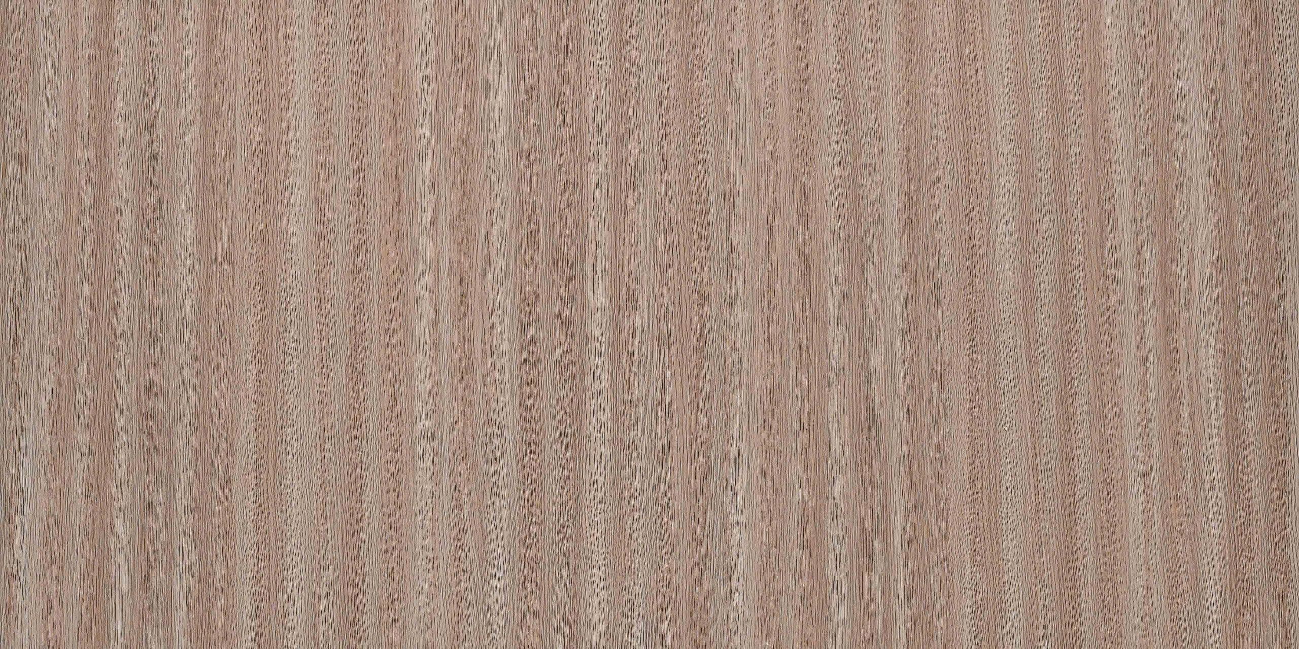 TT57 - Ash Oak
