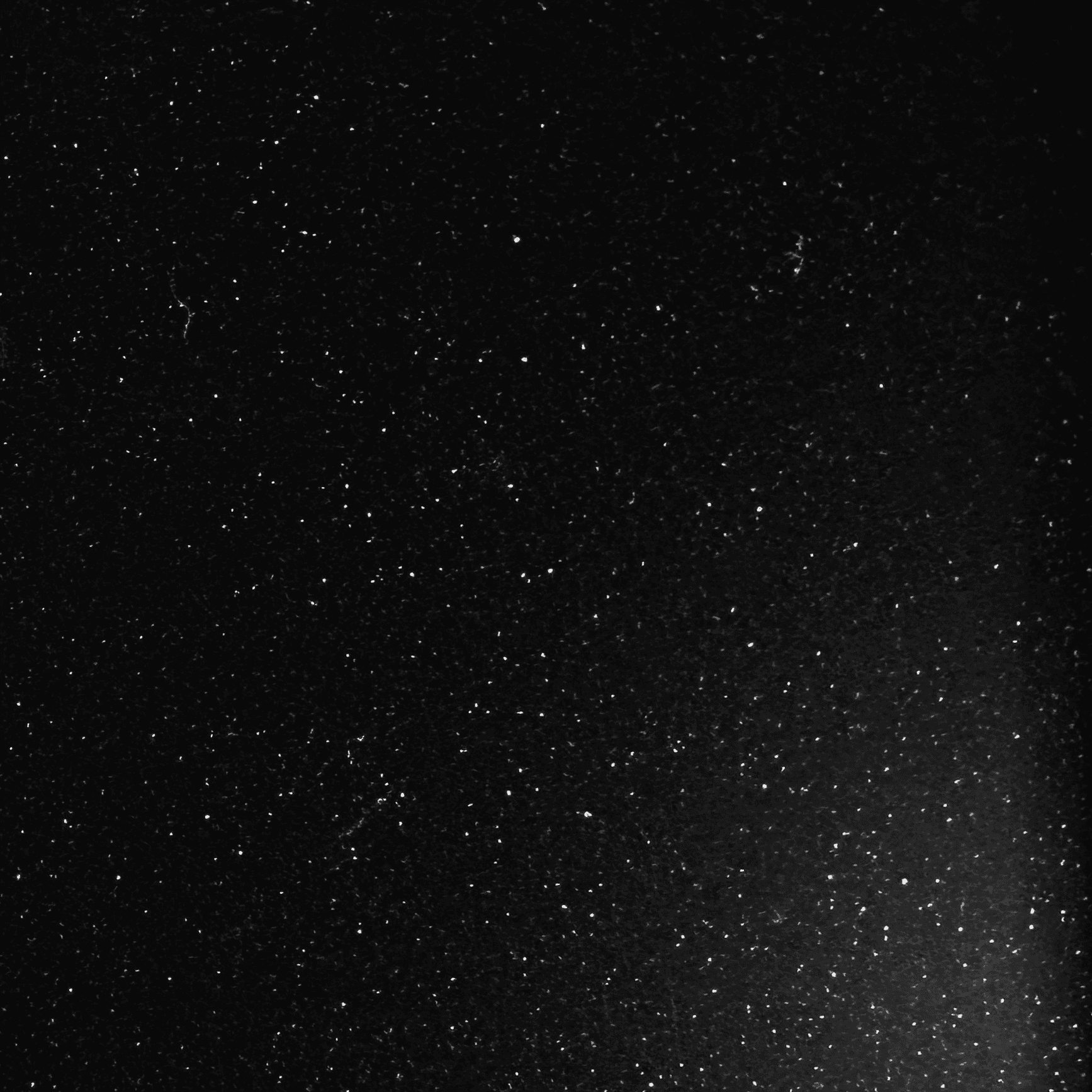 SK145 - Black Metallic
